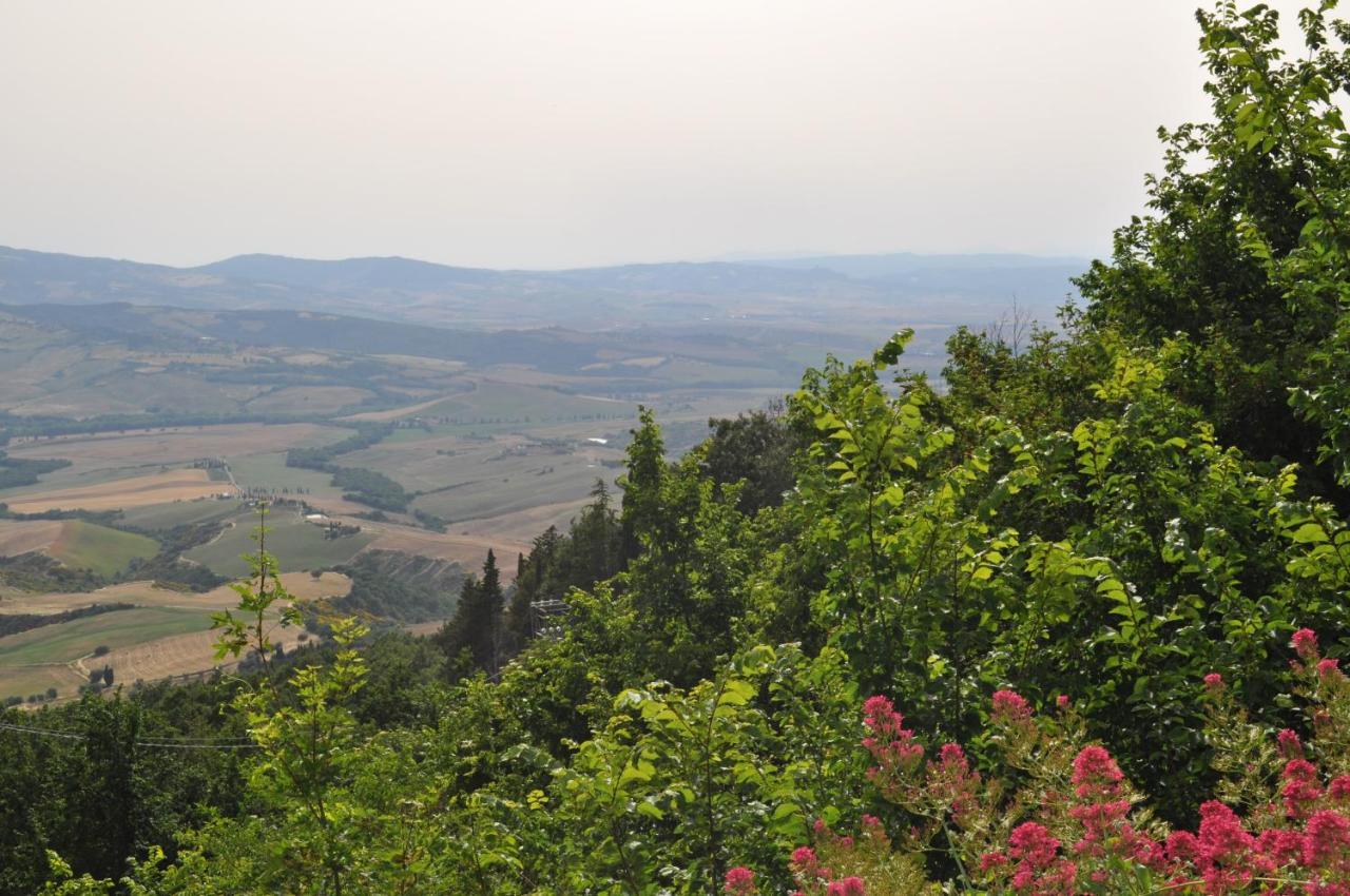 La Terrazza Da Barbara Hotel Torrita di Siena Exterior photo